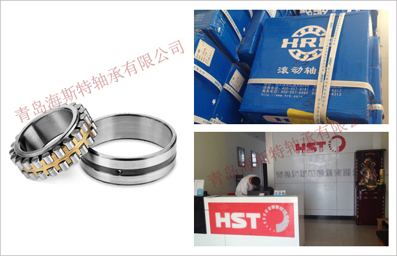 山東海斯特創(chuàng)智實(shí)業(yè)有限公司